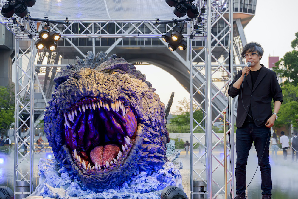 26日（水）発送【貴重】【採取終了】ブセファランドラsp.ゴジラ13株 山崎貴監督が手掛けるライドアトラクション「新・ゴジラ・ザ・ライド